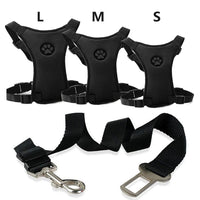 Autogordel met Comfortabel Borsttuig voor Honden - PawSafe