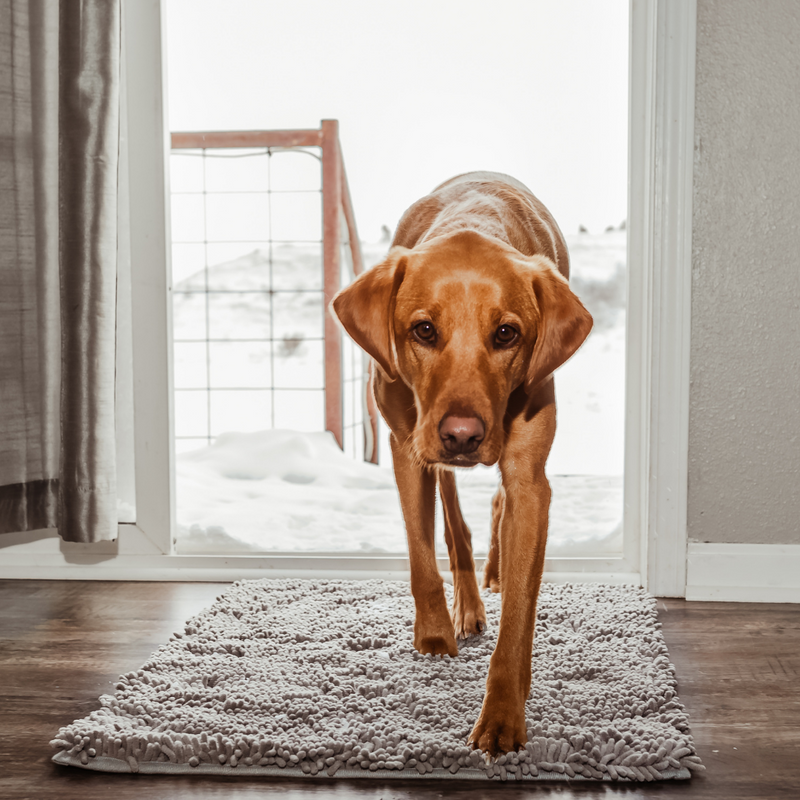 Honden Schoonloopmat - Boris