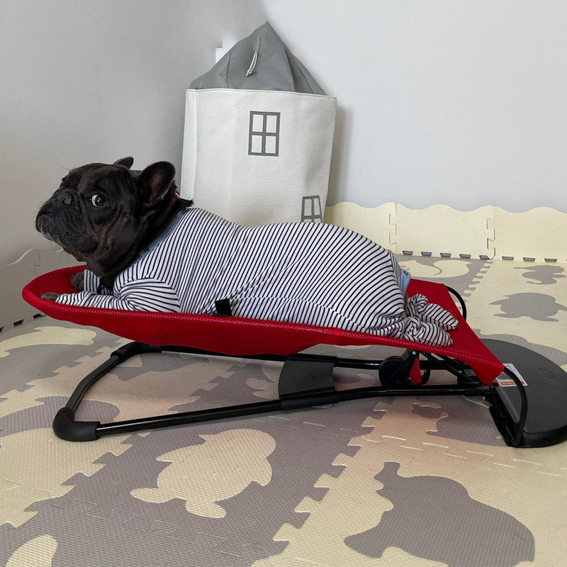 Luxe Schommelstoel voor Honden - Swingo