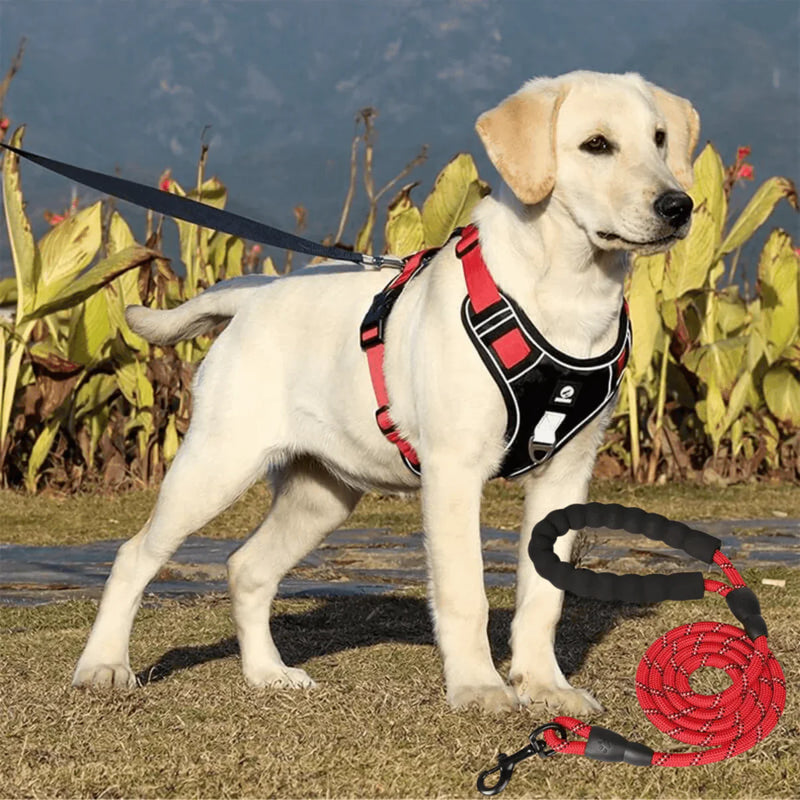 Anti-Trek Hondentuig met Comfortvoering – PullFree
