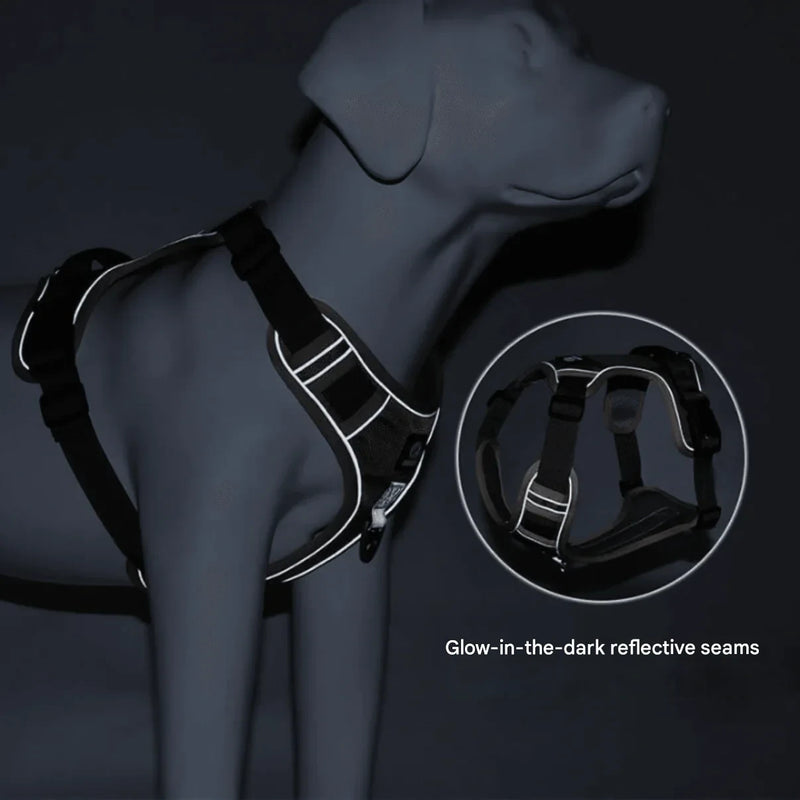 Anti-Trek Hondentuig met Comfortvoering – PullFree