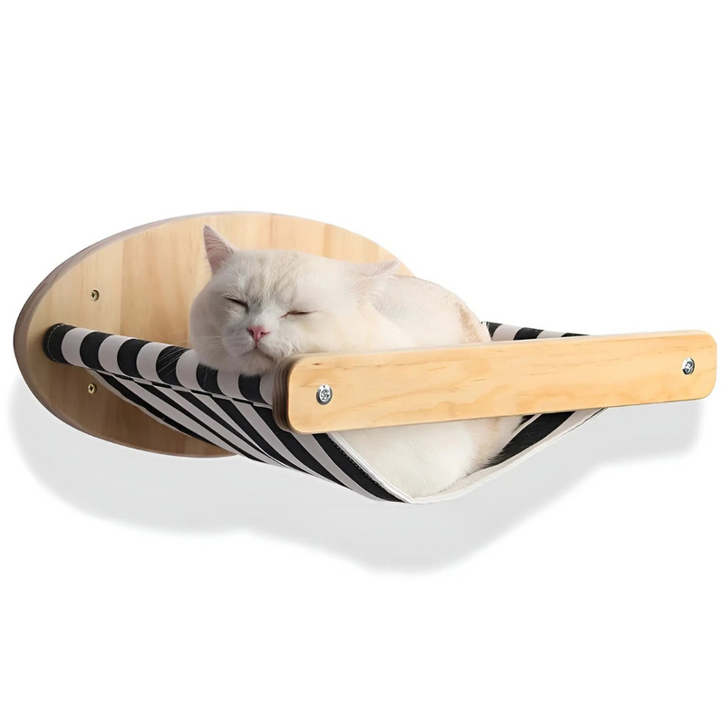 Wandklimplank voor Katten met Krabpaal - ClimbPaws