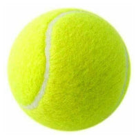 Vardi Dante™ Victor Oefen Tennisballen