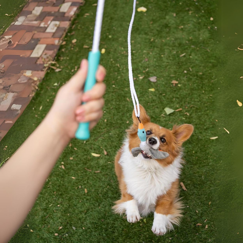 Tail Teaser Hondenspeelstok - Perfect voor Spel en Beweging!