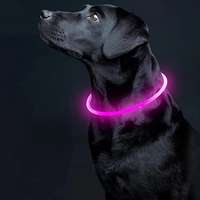 GlowSafe LED Hondenhalsband – Oplaadbaar USB Veiligheidslicht