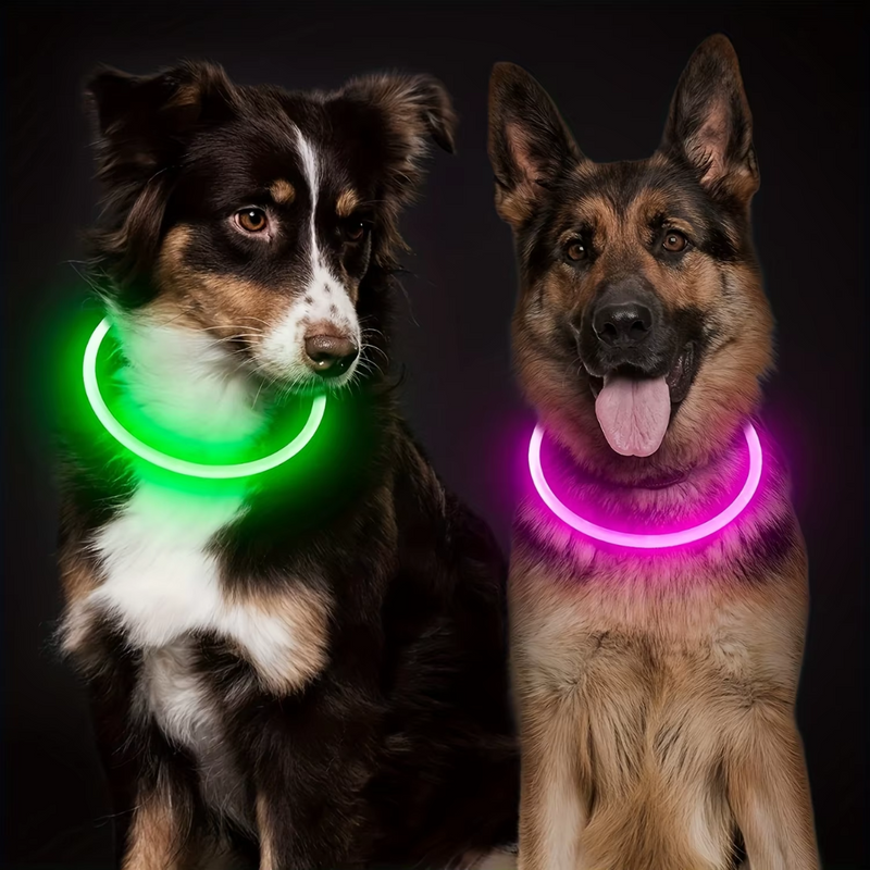 GlowSafe LED Hondenhalsband – Oplaadbaar USB Veiligheidslicht