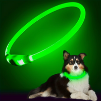 GlowSafe LED Hondenhalsband – Oplaadbaar USB Veiligheidslicht