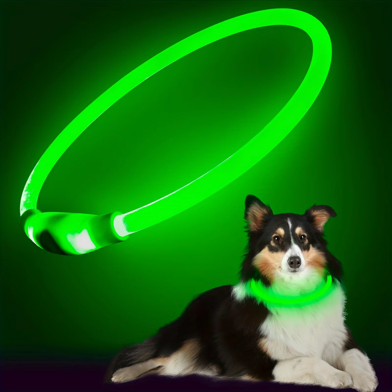 GlowSafe LED Hondenhalsband – Oplaadbaar USB Veiligheidslicht