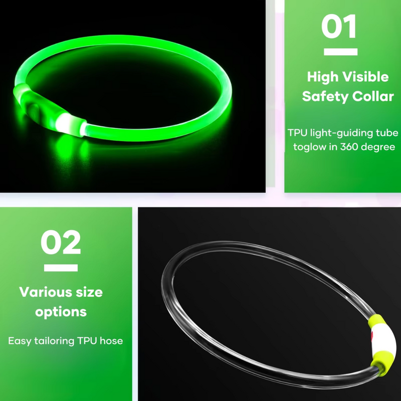 GlowSafe LED Hondenhalsband – Oplaadbaar USB Veiligheidslicht