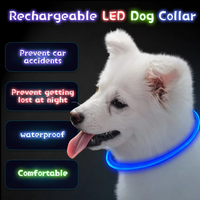 GlowSafe LED Hondenhalsband – Oplaadbaar USB Veiligheidslicht