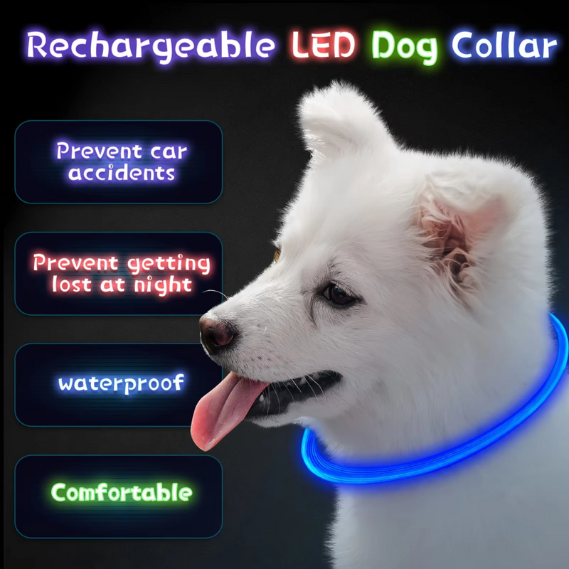 GlowSafe LED Hondenhalsband – Oplaadbaar USB Veiligheidslicht