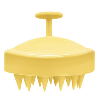 Scalp Massager & Haar Groei Borstel