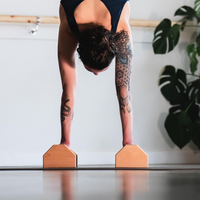 Calisthenics Houten Parallettes Bars – Stabiele Push-Up Bars