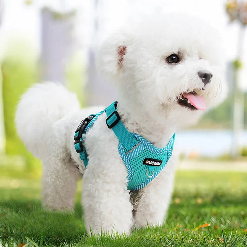 Reflecterende Tuig en Riem Set voor Kleine Honden - AirFlex