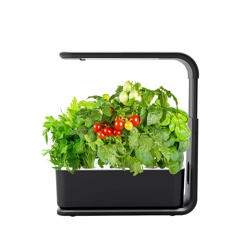Slim Hydroponisch Plantsysteem voor Binnen - GreenBloom Hydro