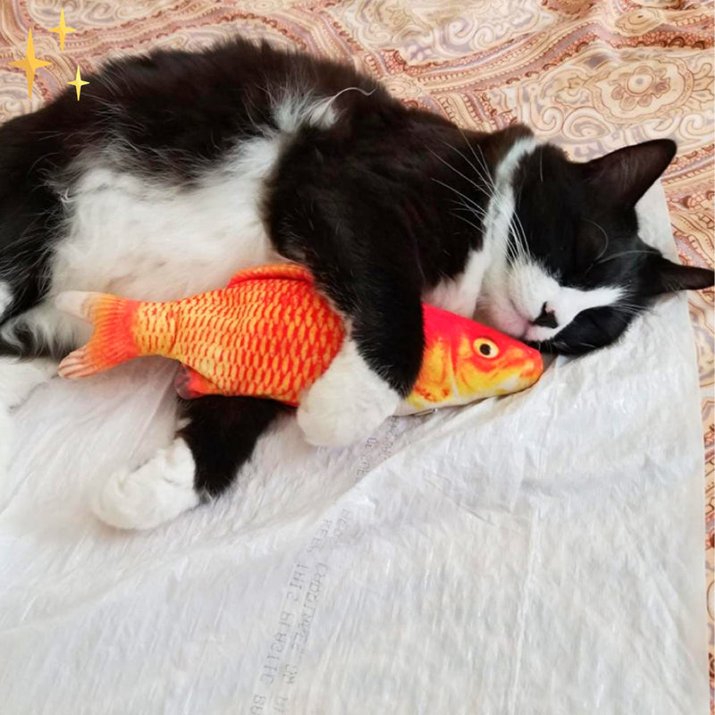 Set van 4 Bewegende Vissen Speeltjes voor Katten -FitFish