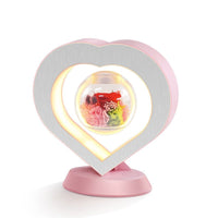 Levitatiebloem met Magnetische Rotatie – Floravia