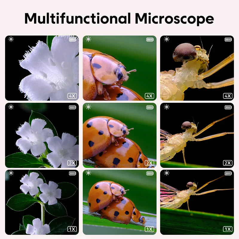 Kindvriendelijke Digitale Microscoop – Zoomi