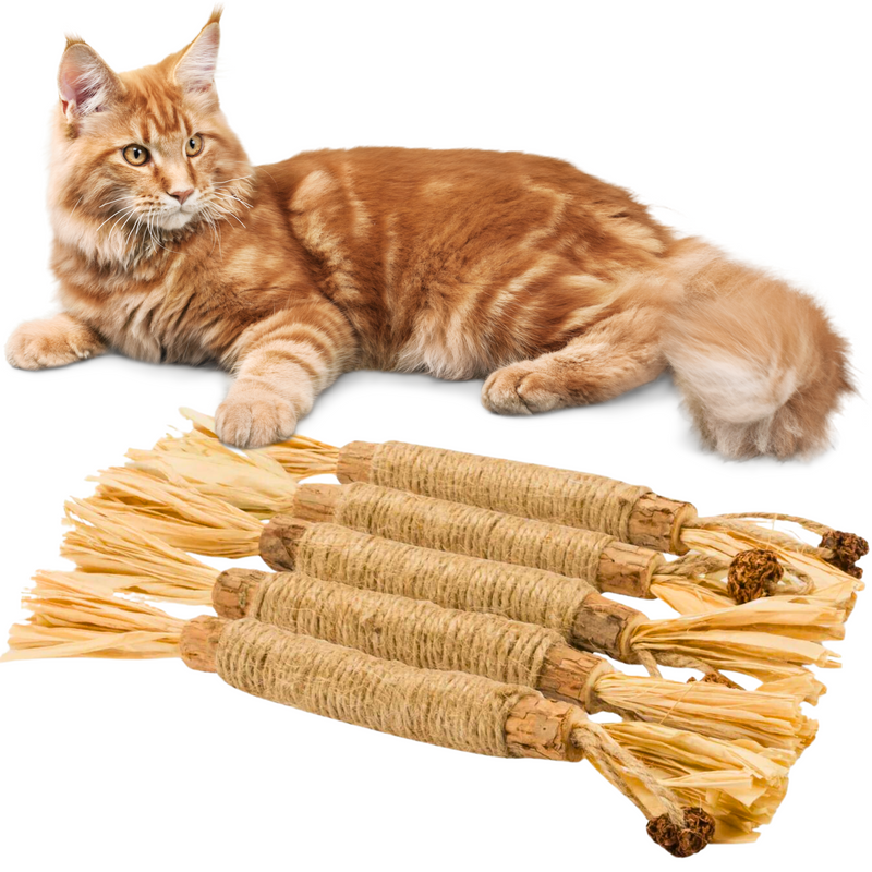 Interactieve Kauwstokken voor Katten - ChewPlay
