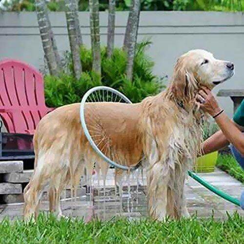360° Huisdier Douchegereedschap - AquaPaws