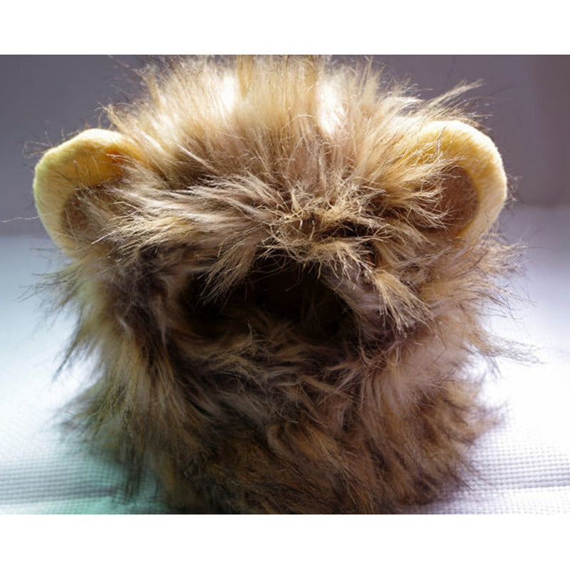 Leeuwenmanen voor je Kat - LionPaws