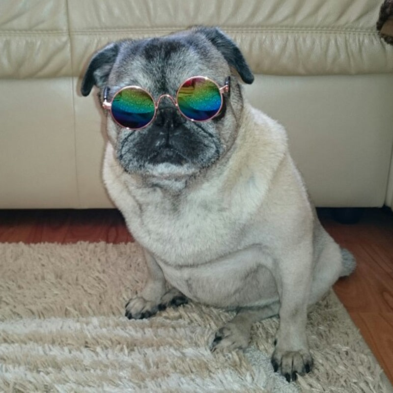 Trendy Kattenzonnebril - KittyShades