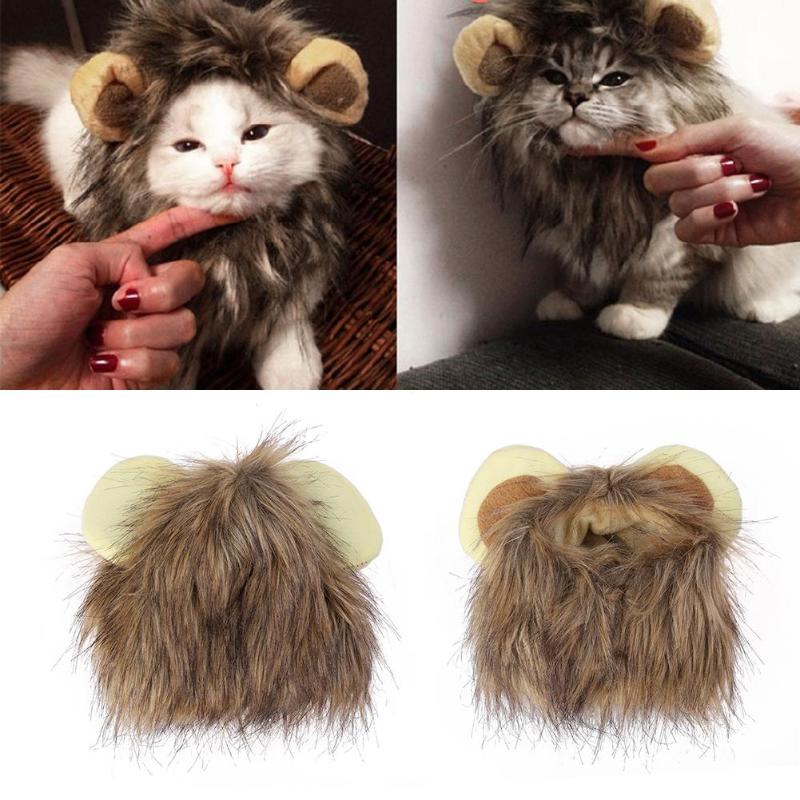 Leeuwenmanen voor je Kat - LionPaws