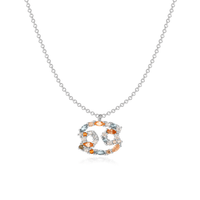 Stijlvolle Sterrenbeeld Ketting - Celestia