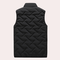 Comfortabele Heren Bodywarmer - Daan