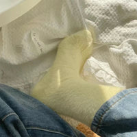 Anika aksamitne skarpetki | puszyste i wygodne