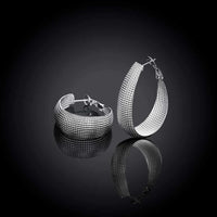 Fijne Europa Zilveren Oorbellen | Elegante oorbellen voor iedere gelegenheid!