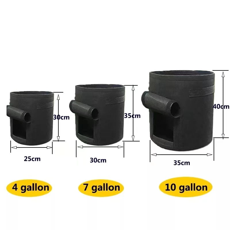 Vardi Dante™ Kwik Kweekpotten | Najfajniejsze doniczki do uprawy warzyw