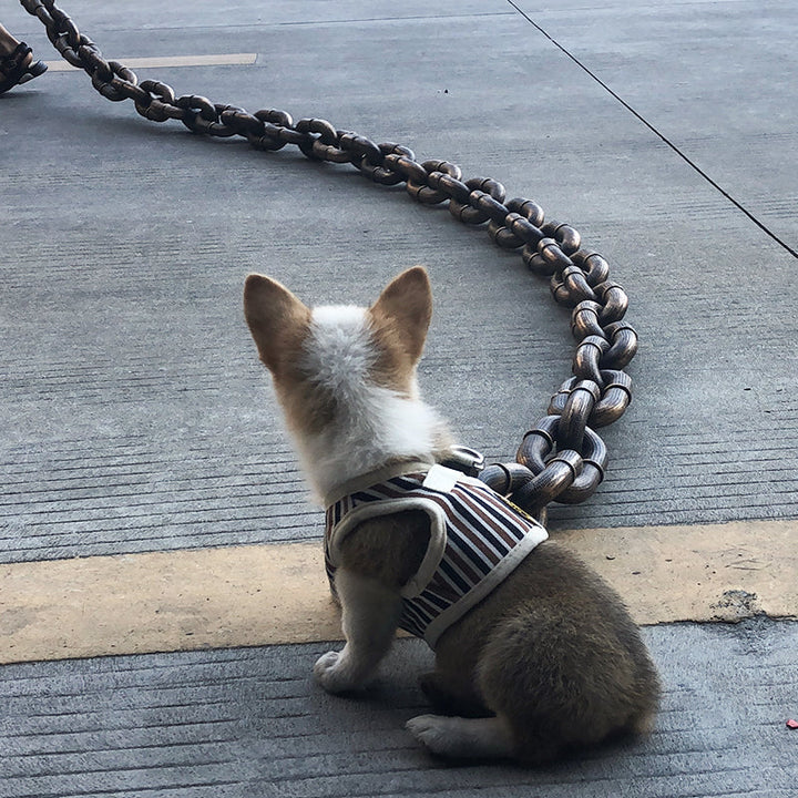 Stoere en Grappige Hondenriem - PawChic