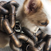Stoere en Grappige Hondenriem - PawChic