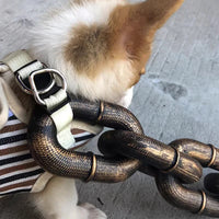 Stoere en Grappige Hondenriem - PawChic