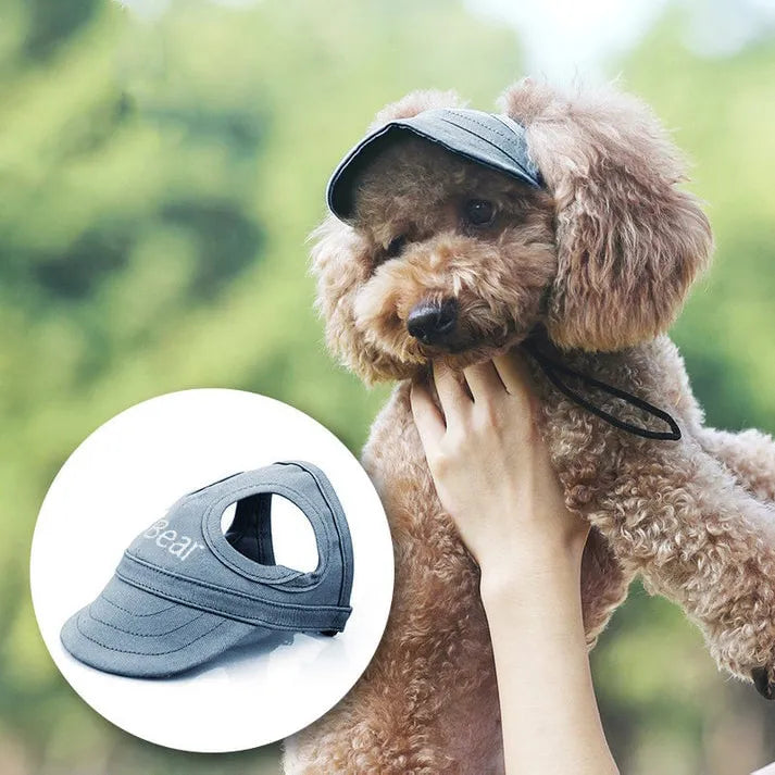 Honden Zonnepet voor UV-Bescherming