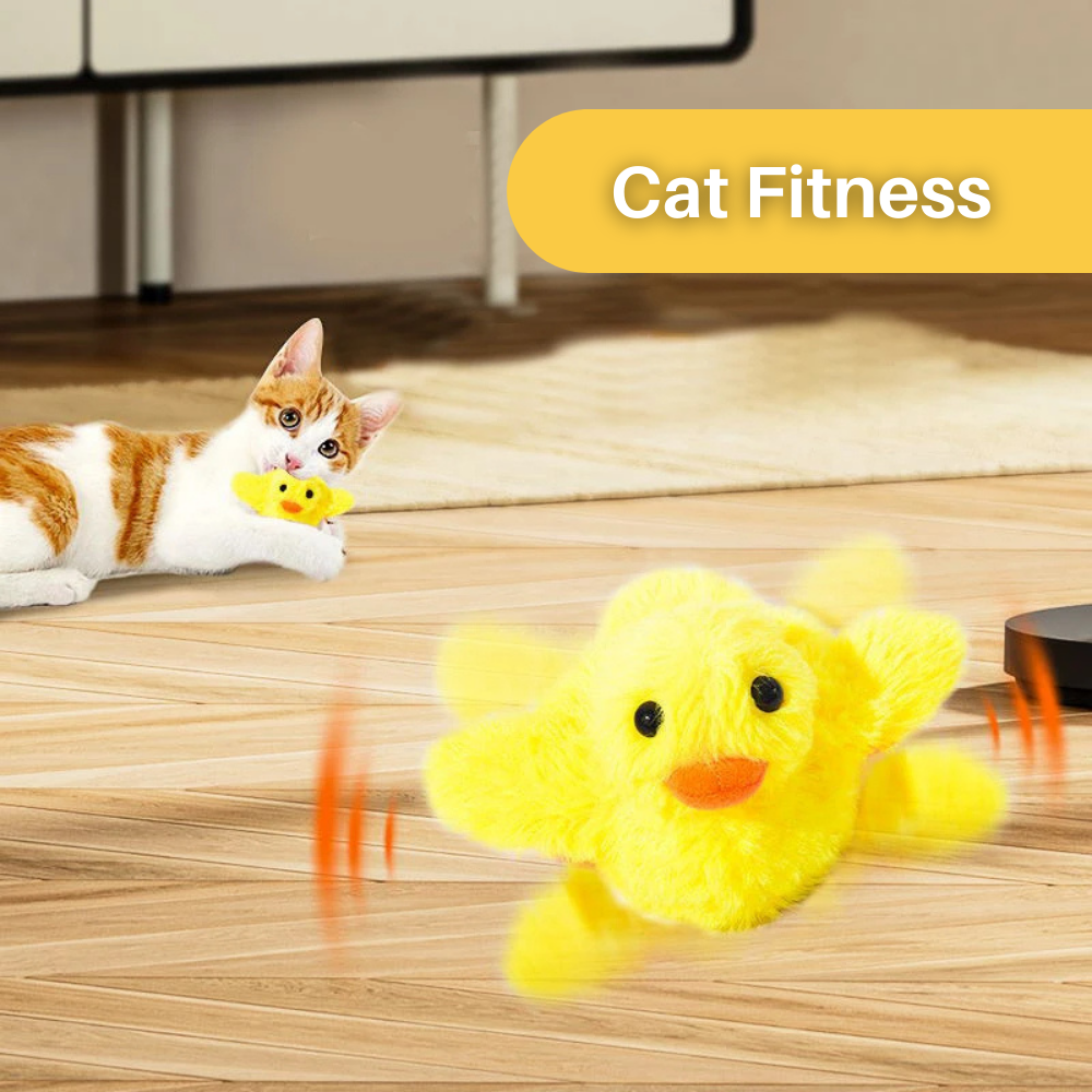 Flappende Eend Speelgoed voor Katten - DuckDash™ (1+1 GRATIS)