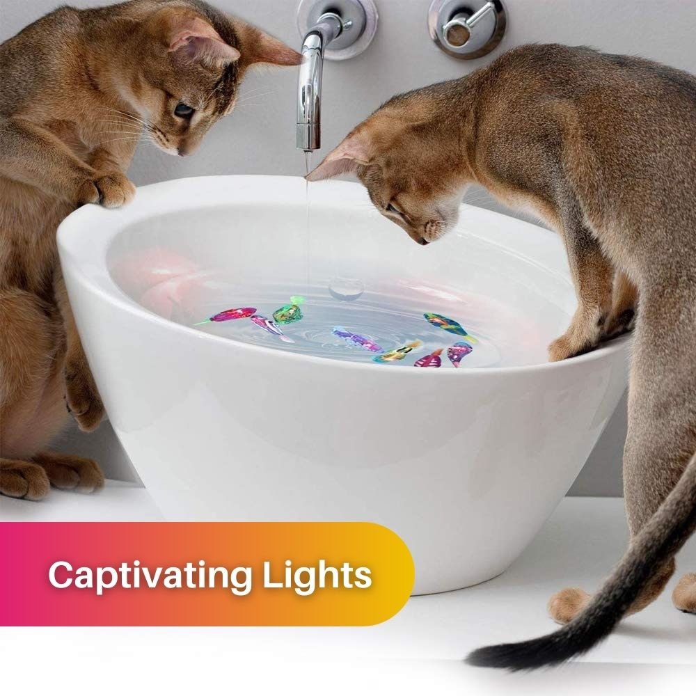 Speelset voor Katten - AquaPurr