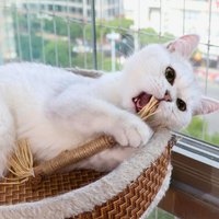 Interactieve Kauwstokken voor Katten - ChewPlay