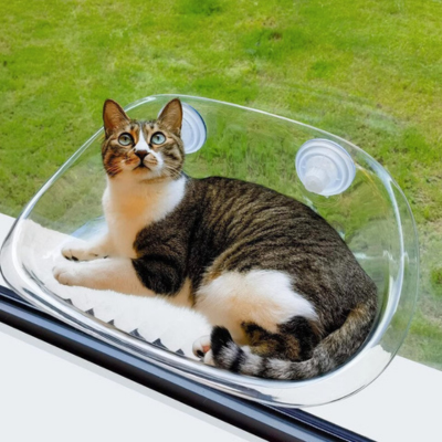 Raamvenster voor Katten - KittyView