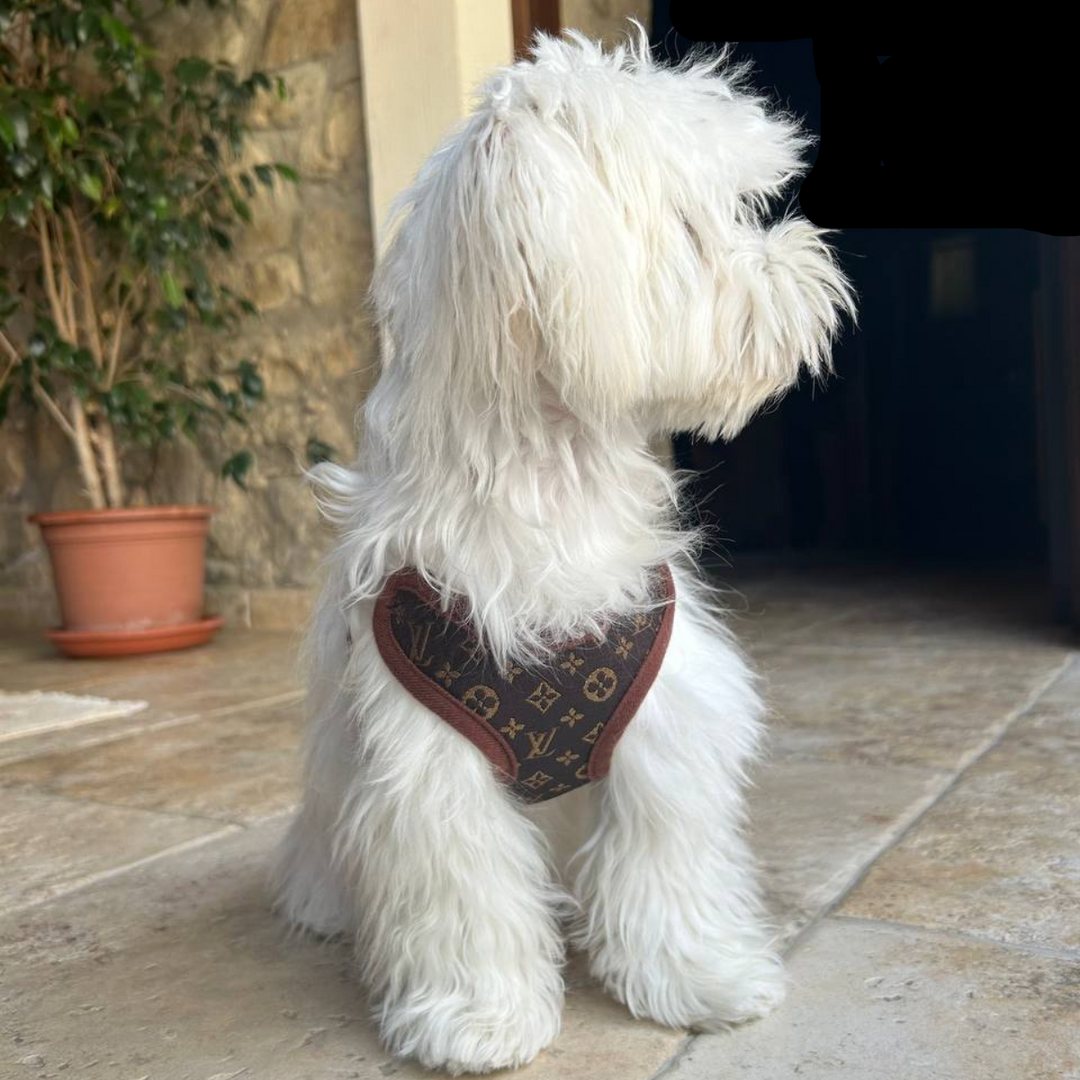 Hondentuigje en Lijnset – PawLuxe