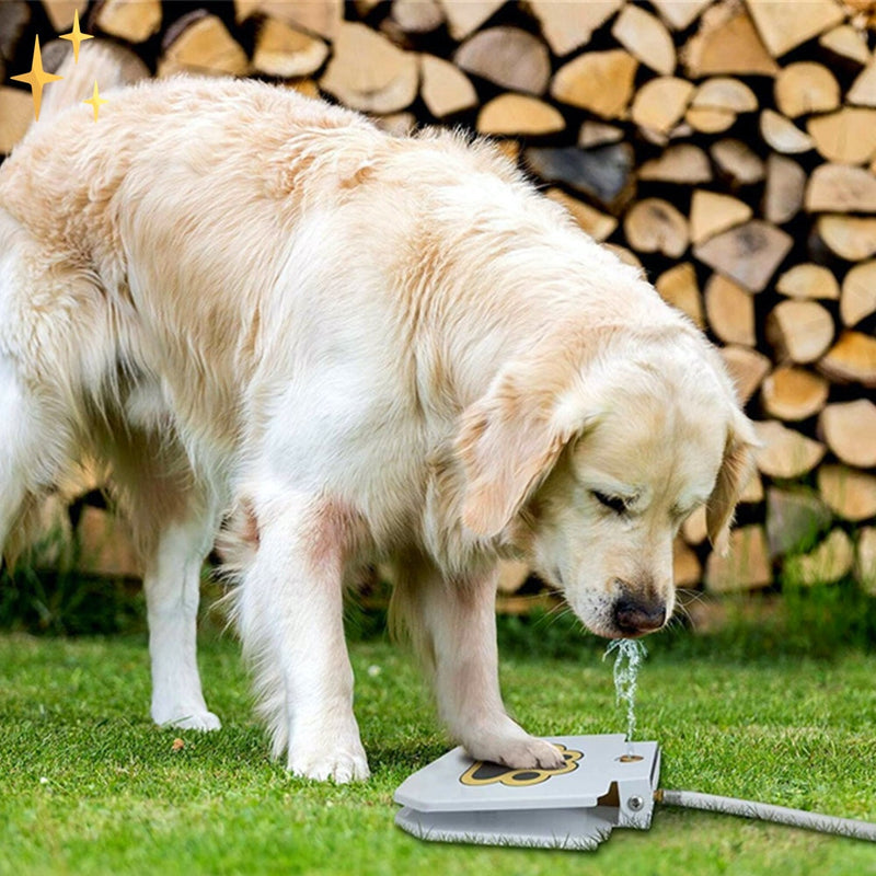 Interactief Honden Fontein Speelgoed - PawSplash