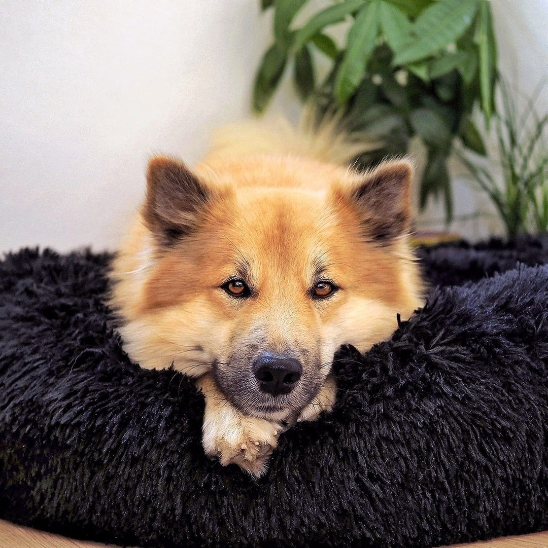 Hondenmand Fluffy Plus – Het Origineel
