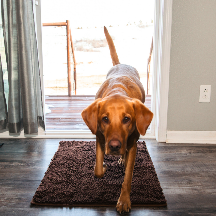 Honden Schoonloopmat - Boris