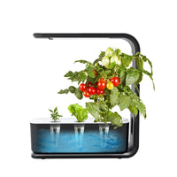 Slim Hydroponisch Plantsysteem voor Binnen - GreenBloom Hydro