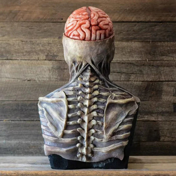 Ultra-Realistisch Halloween Skelet Kostuum – PhantomReaper