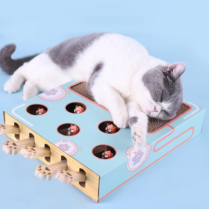 3-in-1 Interactief Kattenspeelgoed - WhiskerPlay