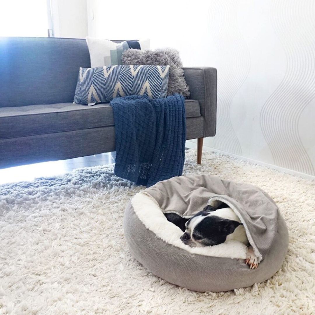 Honden Knuffelgrot - SnuggleNest