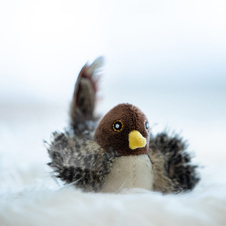 Interactief Kattenspeeltje - ChirpBird