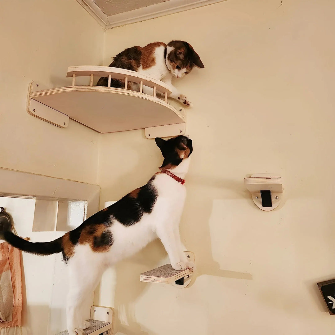 Wandklimplank voor Katten met Krabpaal - ClimbPaws